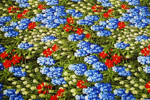 WILD FLOWER Ⅳ　BLUEBONNETS&PAINTBRUSH/SUMMERの写真
